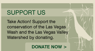 Support Us/Donate