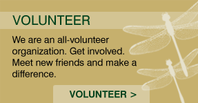 volunteer